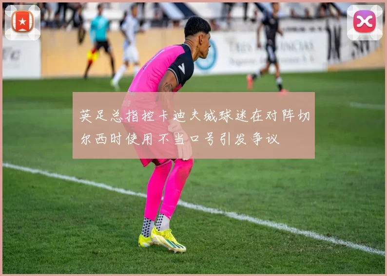 英足总指控卡迪夫城球迷在对阵切尔西时使用不当口号引发争议